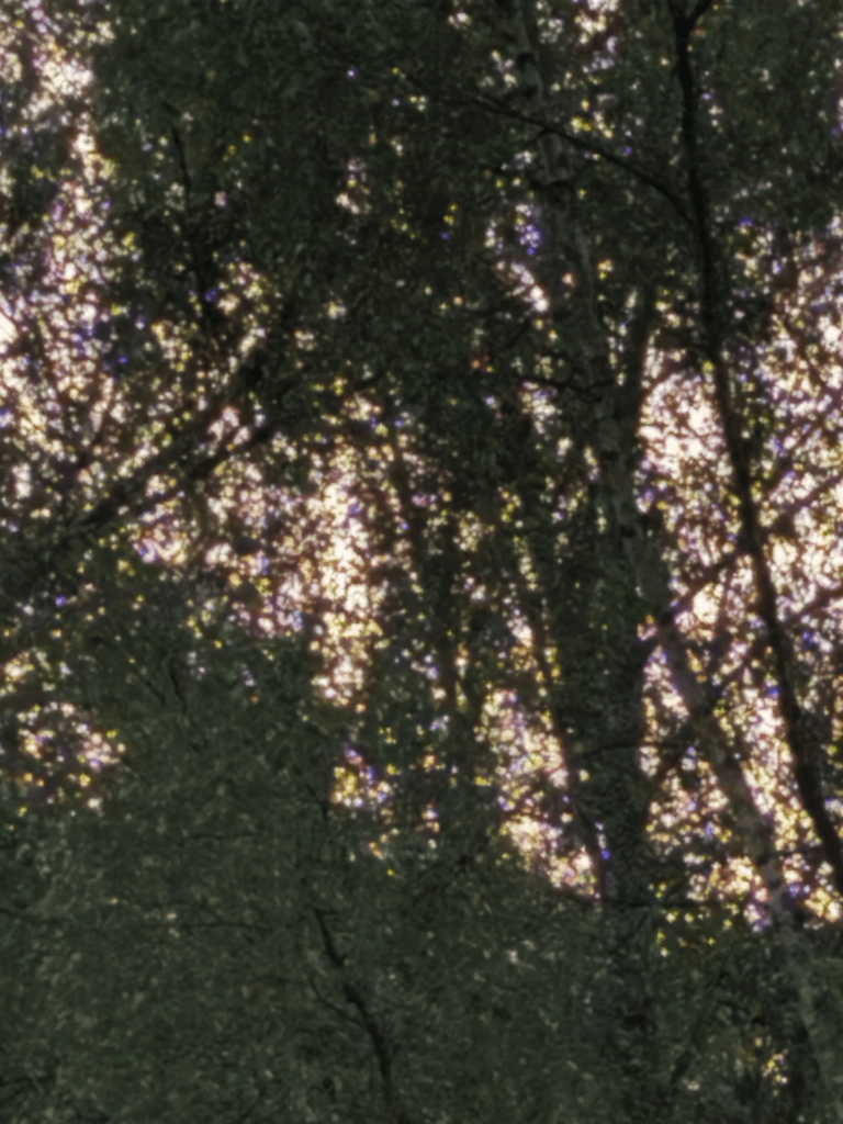 Atelier Arthur Rogiers